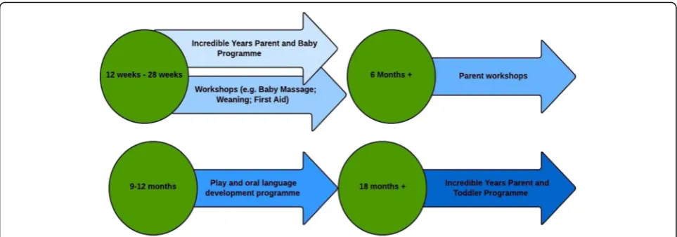 Fig. 2 Outline of the Parent and Infant (PIN) Program