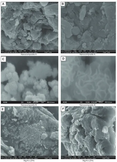 Figure 7 Field emission scanning electron microscope micrographs.Notes: Field emission scanning electron microscope micrographs of the nanocomposite a (A and B), nanocomposite B (C and D) and Mg/al-lDhs (E and F).Abbreviation: lDhs, layered double hydroxides.