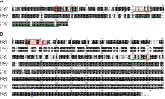 FIG 1 Alignment of the amino acid sequences comprising the response regulators (A) and sensor kinases (B)