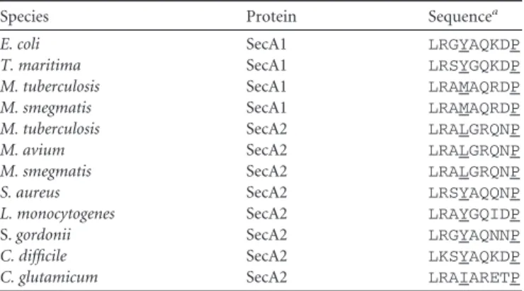 TABLE 2 Conservation of the 2HF among SecA homologs