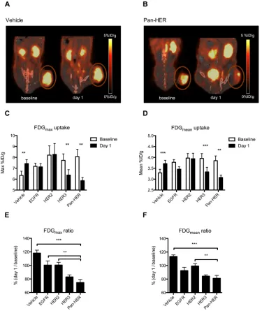 Figure 2: FDG uptake is reduced upon treatment with Pan-HER. A. & B. Representative FDG PET/CT images of a vehicle and a Pan-HER treated mouse at baseline and one day after initiation of therapy