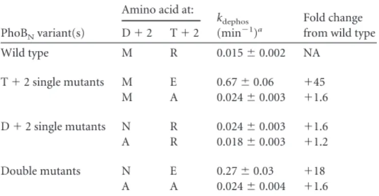 TABLE 1 CheY autodephosphorylation rate constants