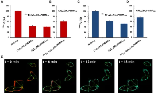 Figure 4. Competition between the polymers, quantified by radioactivity after  1  h. A) Competition of  99m Tc-labeled  Cy5 0.5 CD 10 PIBMA 39  with either Cy5 0.5 CD 10 PIBMA 39  or Cy3 1.5 CD 72 PIBMA 389 , both resulting in partial replacement of the  o