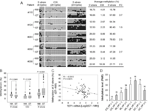 Figure 5: Association between CpG methylation in the CGI 5′-shore, CGI, and CGI 3′-shore and TET1 expression in primary GTs