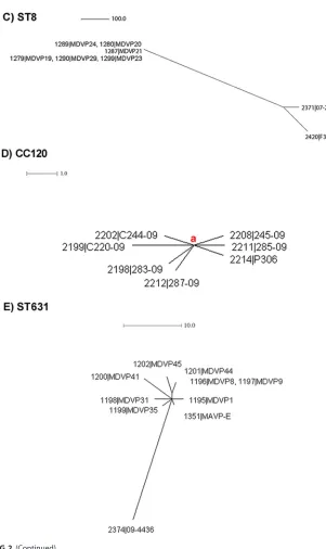 FIG 2 (Continued)