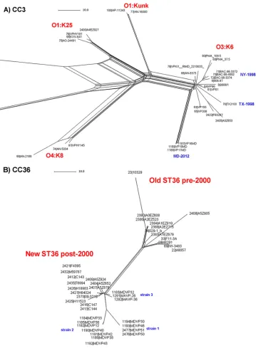 FIG 2 cgMLST analysis of representativeP310, Guillen_151_Peru, C226-09, C224-09, C235, PIURA_17, C237, and 239-09, were identical by cgMLST (repre-CC36-ST36 outbreak-related and non-outbreak-related strains (5, 19, 36)