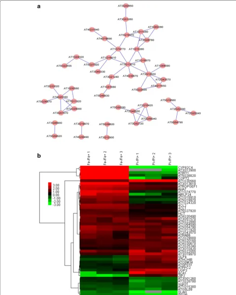 Fig. 4 Co-expression relationships of the 137 differentially expressed genes with changes greater than twofold (a), and heat map of genes involved in network construction (b)