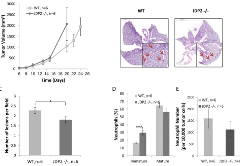 Figure 2: Host derived JDP2 expression inhibits tumor growth but promotes metastasis. A