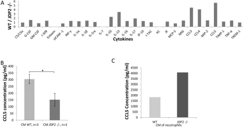 Figure 6: CCL5 is secreted by the JDP2-expressing BMDCs and is functionally important