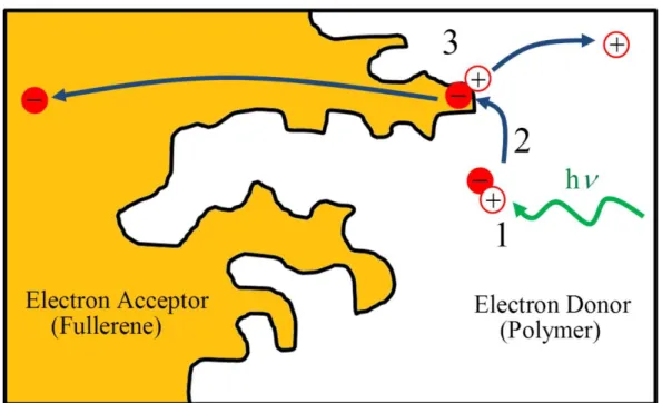 Figure  1.2:  Schematic  of  a  bulk-heterojunction  thin  film.    1.  Light  absorption  by  the  π- π-conjugated  polymer  creates  an  exciton  in  the  polymer  phase