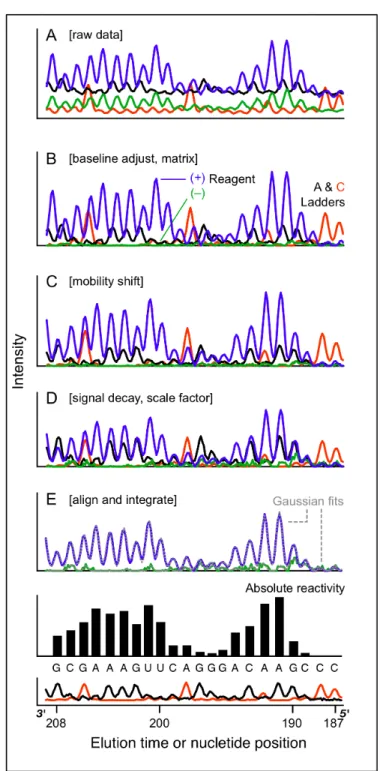 Figure 2.3. Electropherogram analysis as implemented using ShapeFinder tools. (A)  Unprocessed capillary electrophoresis electropherogram