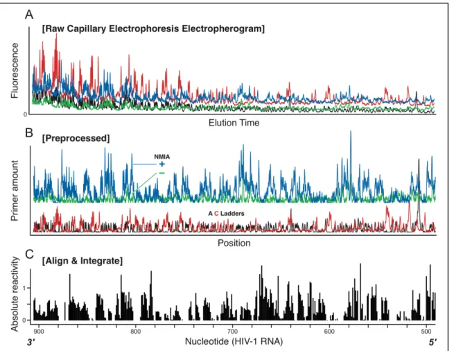 Figure 2.6. Overview of a complete hSHAPE data set, processed using 