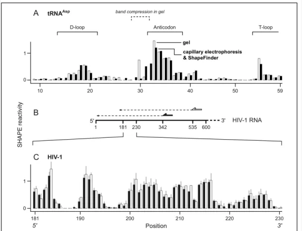 Figure 2.7. Accuracy and reproducibility of hSHAPE and ShapeFinder. (A) 