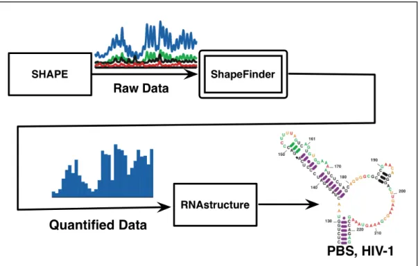 Figure 3.1. Block diagram of steps involved in determining RNA secondary structure  using SHAPE