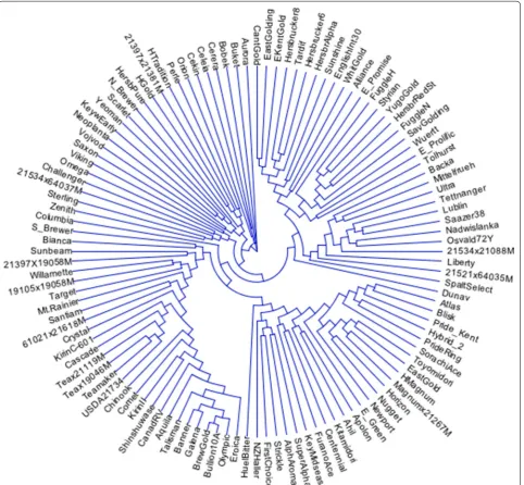 Fig. 2 Dendrogram of hop 116 hop varieties and germplasm resources as determined by use of 1006 SNP markers with no missing data out of the pool of 32,206 SNPs utilized for this study