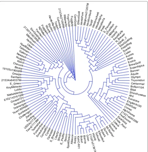 Fig. 1 Dendrogram of the 116 hop varieties and germplasm resources as determined using the seven SNPs proposed as the minimal number of markers to genetically differentiate hop accessions