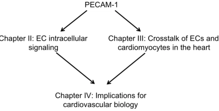 Figure 1.4. Overview of research presented in this dissertation. 