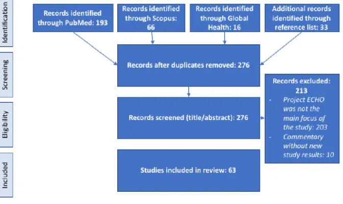 Figure 2. Literature review process diagram on project ECHO feasibility and impact. 