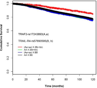 Figure 2: Kaplan-Meier survival curves of the combination genotypes of rs17243893 and rs57890595 (dominant model)