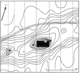 Fig. 26. Contour map of a part of the Schoonrewoerd stream ridge at Ottoland-Oosteind (site no