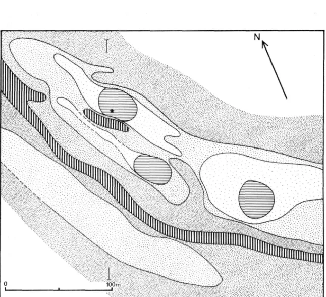 Fig. 30 a . The Middle Bronze Age settlement on the Zijderveld stream ridge near Hei- en Boeicop (site no