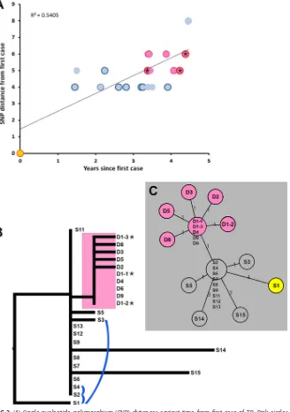 FIG 2 (A) Single-nucleotide polymorphism (SNP) distances against time from ﬁrst case of TB