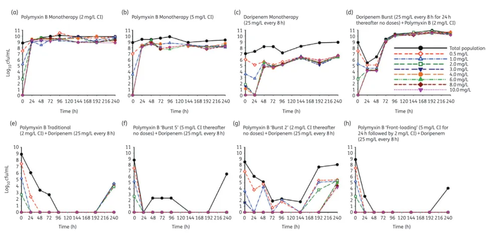 Figure 5. Time-course of the observed emergence of resistance on polymyxin B-containing agar plate regimens with an initial inoculum of 10 9 cfu/mL in response to the detailed regimens simulated in the HFIM