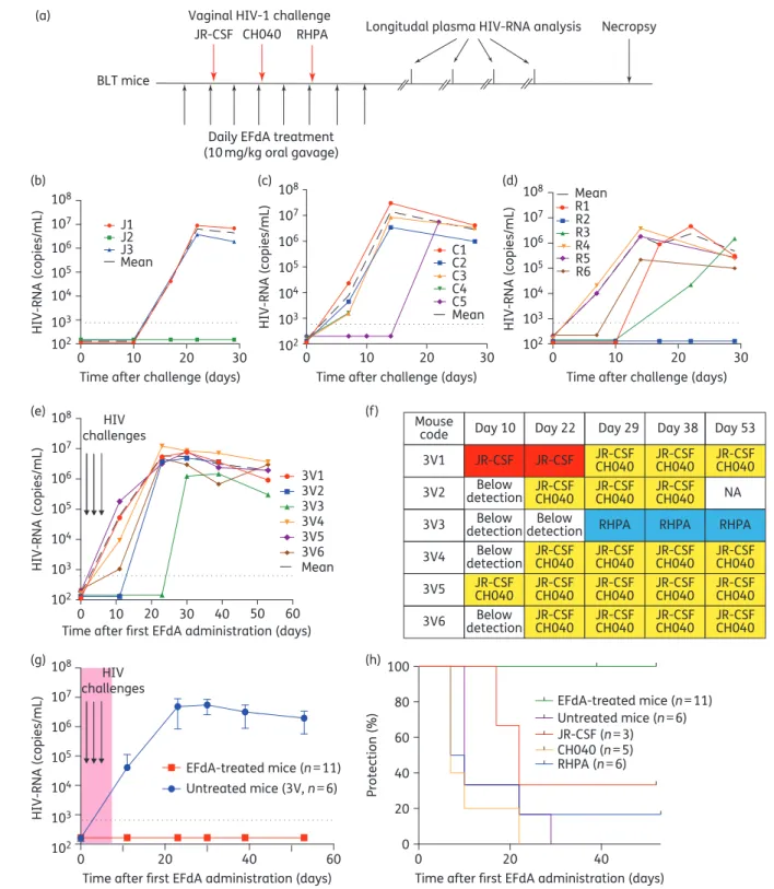 Figure 2. Oral EFdA PrEP significantly reduces HIV transmission following multiple high-dose vaginal HIV challenges