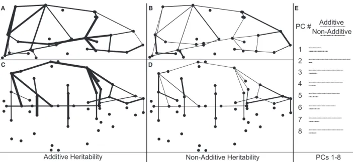 Fig. 7 Heritability estimates for strain- and cross-specific additive and non-additive factors of phenotypic measures