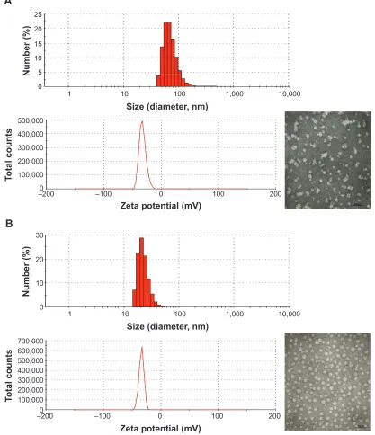 Figure 3 Particle size, zeta potential, and transmission electron micrographs of (A) a native growth factor nanocomplex, and (B) a LMWP-conjugated growth factor nanocomplex.Abbreviation: LMWP, low-molecular-weight protamine.