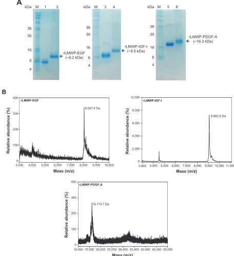 Figure 1 (Continued).