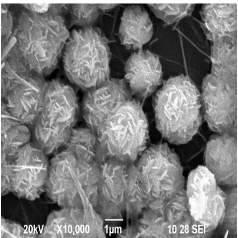 Figure 2 (a). SEM image of pure doped ZnO 