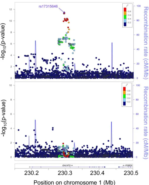 Figure 2.1 Non-coding variants at GALNT2 are associated with total cholesterol in medium HDL in  the METSIM study 