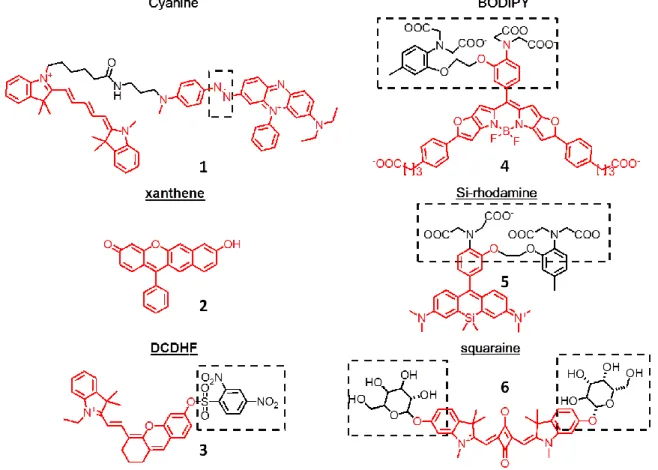 Figure 1.6 Examples of NIR dyes for live cell imaging applications.  