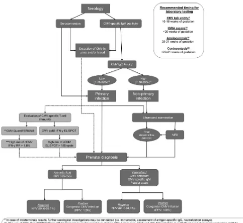 FIG 1 cCMV diagnosis ﬂowchart. The novel ﬁndings on cCMV diagnosis are indicated in light gray