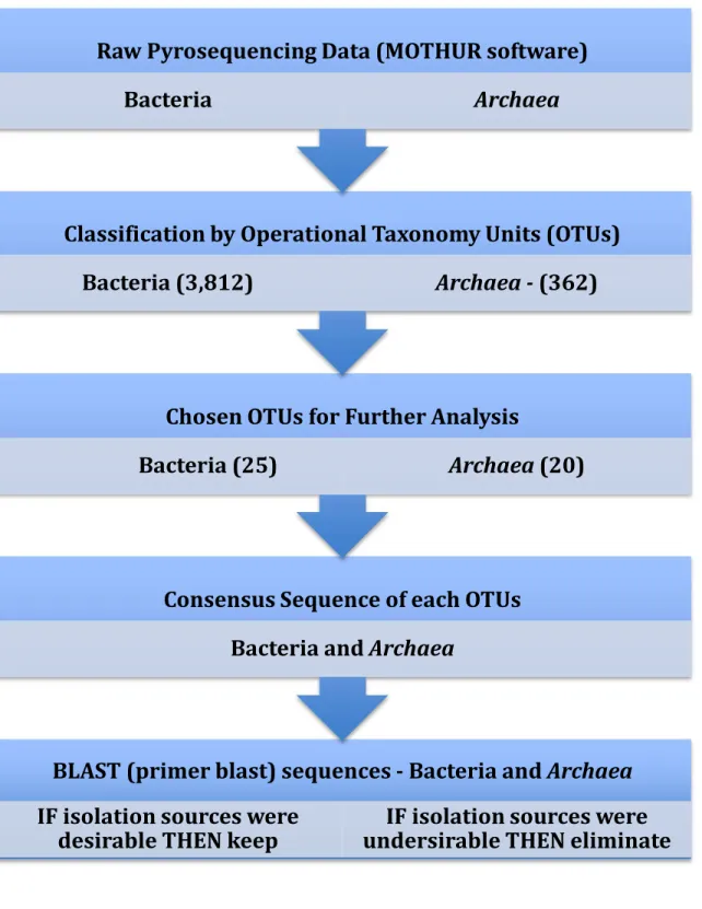 Figure 5. Process for analyzing Bacteria and Archaea pyrosequencing data. 