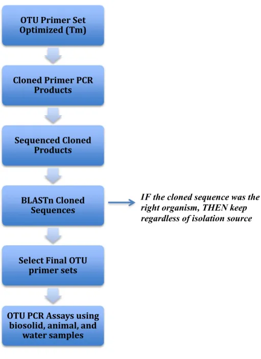 Figure 6. Process for designing primer sets for Bacteria and Archaea markers. 