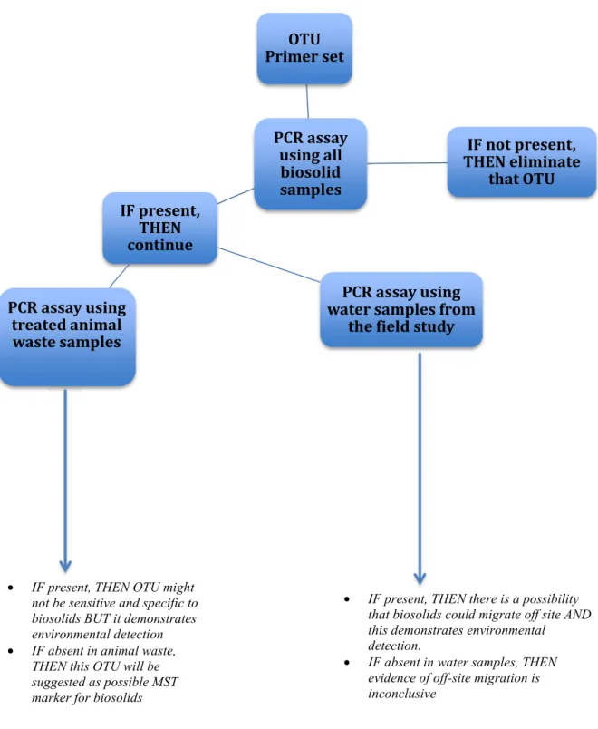 Figure 7. PCR assay procedure toward developing and evaluating biosolid MST markers. 