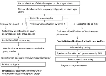 FIG 2 List(score) calculation. “Strain # xyz” represents the spectrum of an unknown isolate; Spn,10 positions of a ranking list is multiplied by a factor of 10 (1st position), a factor of 9 (2nd position), 