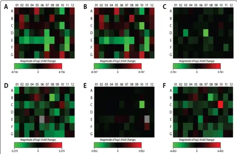 Figure 1 Heatmap of the altered expression of gens in the different groups compared. A