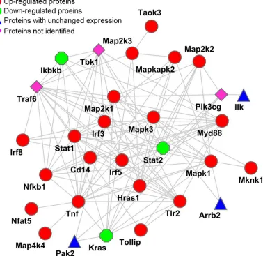 Figure 1: Reconstructed networks involving the NF-κB, MAPK, IRF, and TLR signaling pathway responses to PPE26 stimulation