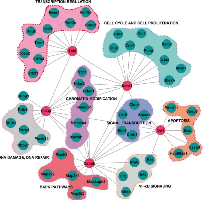 Figure 2: Subnetwork constructed by data-dependent network analysis of proteins involved in different biological processes