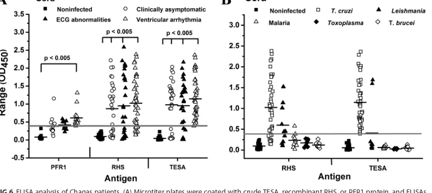 FIG 5 Immunoreactivity of Chagas patient sera with recombinantparaﬂagellar rod protein (lane 1) or total TESA EVs (lane 2) (A) or recombinant retrotransposon hot spot protein (lanes 1) ortotal TESA EVs (lane 2) (B) were probed with antisera from uninfected
