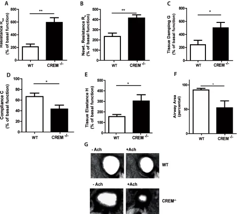 Figure 3: Genetic deletion of CREM enhances airway hyperresponsiveness after OVA-sensitization