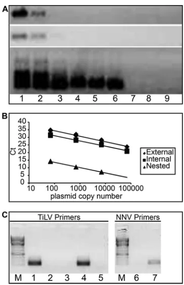 FIG 2 Sensitivity and speciﬁcity of PCR, nested PCR, and qPCR in the ampliﬁcation of TiLV