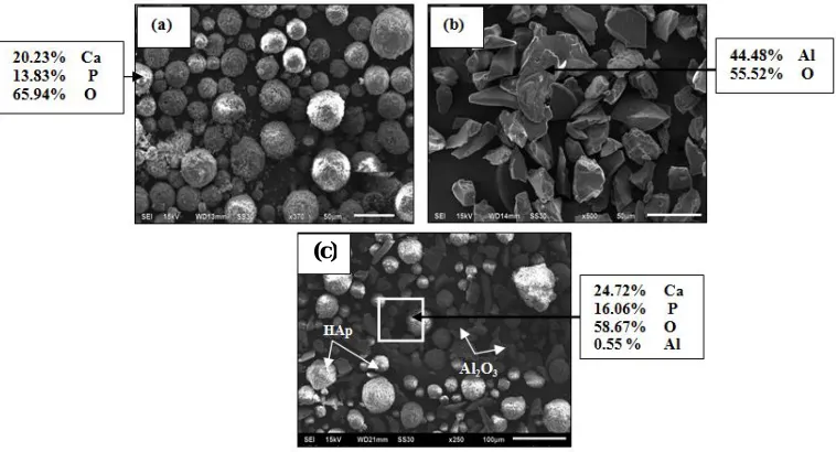 Fig.1. It can be seen from the micrographs that HAp powder has a spherical morphology, while Almorphology