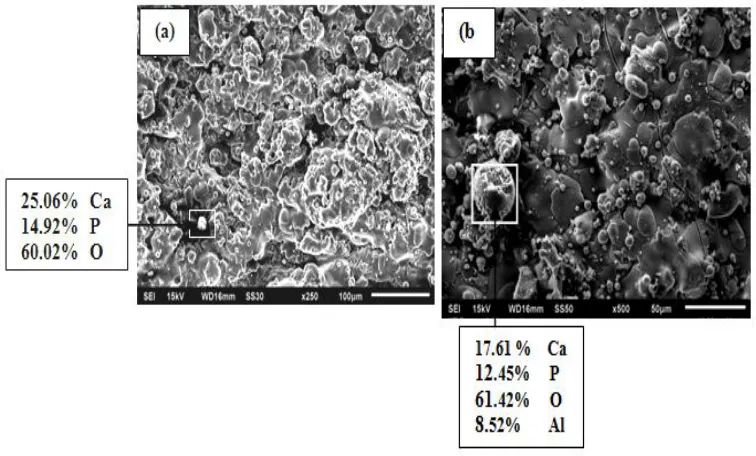 Fig. 2 SEM morphology and EDAX analysis of plasma spray coating on pure Ti  (a) Pure HAp coating and (b) HAp+15 wt-%  Al2O3  coating 