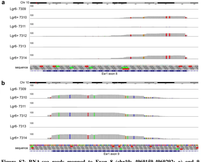 Figure  S2:  RNA-seq  reads  mapped  to  Exon  8  (chr10:  4969159-4969292;  a)  and  9  (chr10:4997830-4998013;  b)  of  the  Esr1  gene  for  all  heterozygous  transgenic  samples