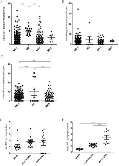 Figure 1: Bone marrow samples of 385 de novo AML patients were investigated by flow cytometry