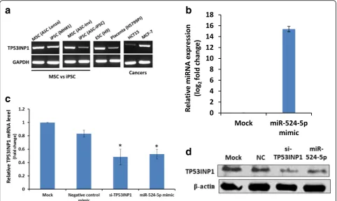 Fig. 3 Inverse relationship between expression of miR-524-5p and TP53INP1.of RT-PCR. iPSC (MH#1) and iPSC (ASC-iPSC) were derived from the adipose-MSC cell lines, ASC Lonza and ASC-Inv, respectively